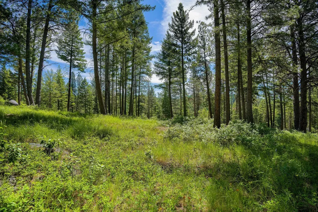 345 Chief Cliff Trail Bigfork MT 59911