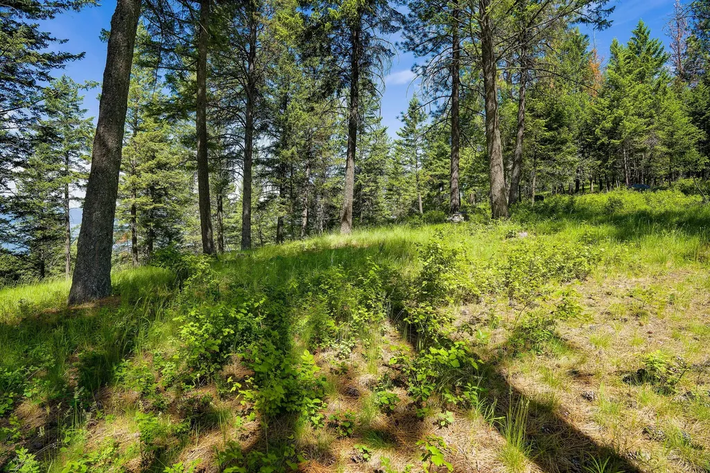 345 Chief Cliff Trail Bigfork MT 59911