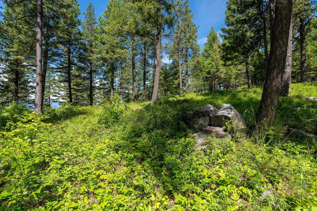 345 Chief Cliff Trail Bigfork MT 59911