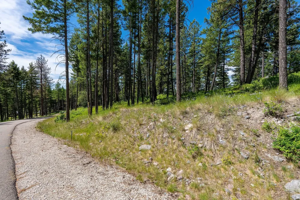 345 Chief Cliff Trail Bigfork MT 59911