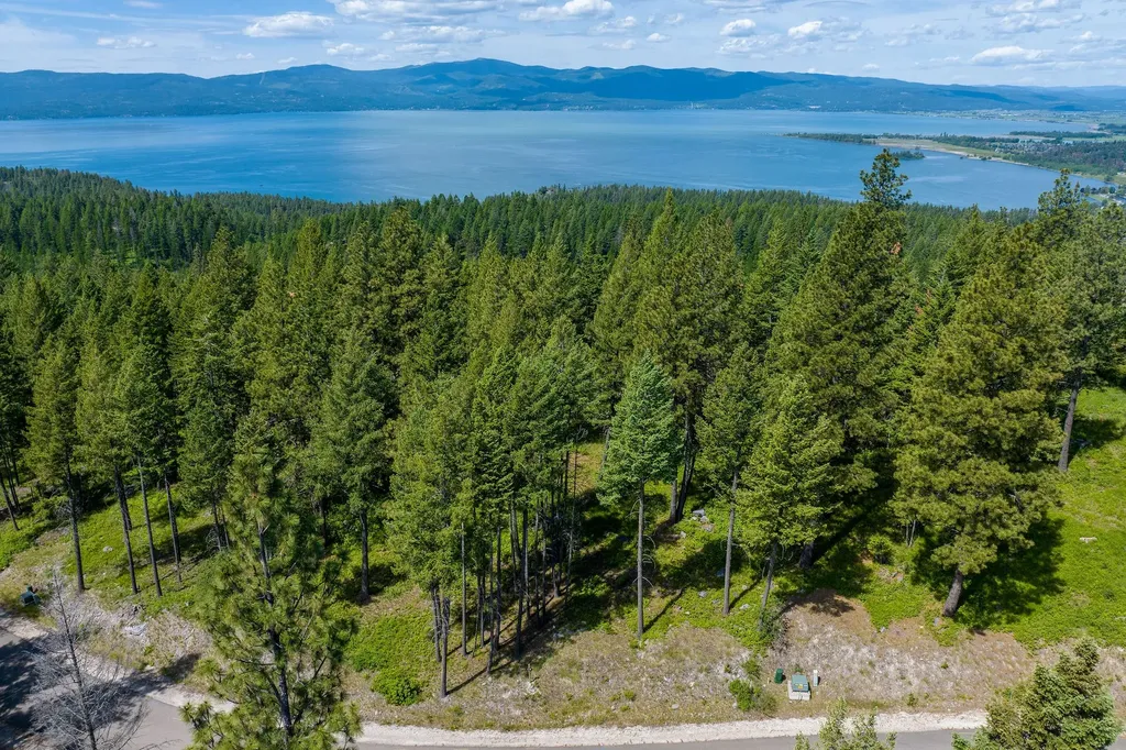 345 Chief Cliff Trail Bigfork MT 59911