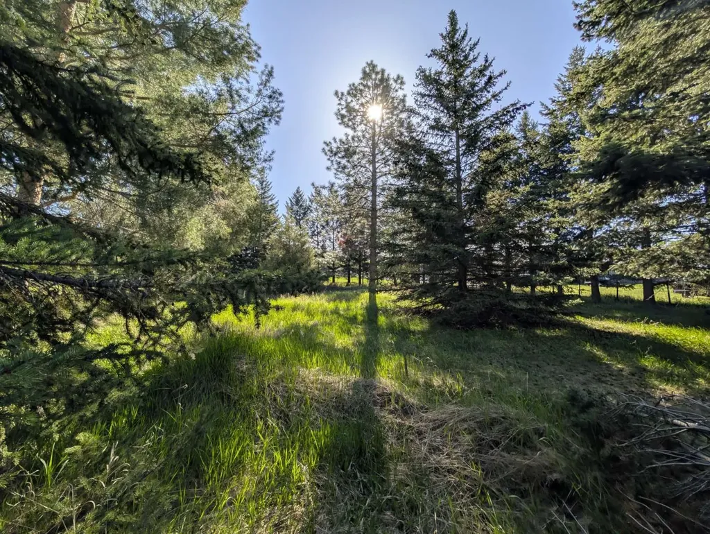 117 Northwest Lane Kalispell MT 59901
