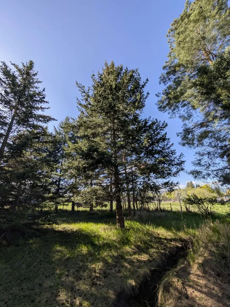 117 Northwest Lane Kalispell MT 59901
