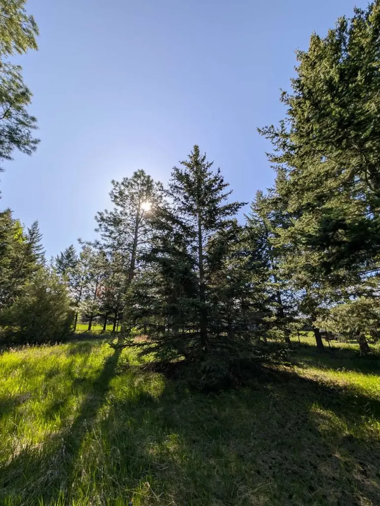 117 Northwest Lane Kalispell MT 59901