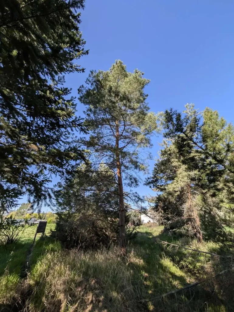 117 Northwest Lane Kalispell MT 59901
