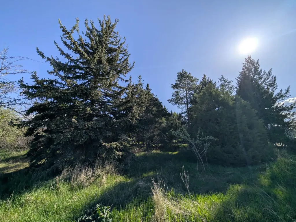 117 Northwest Lane Kalispell MT 59901
