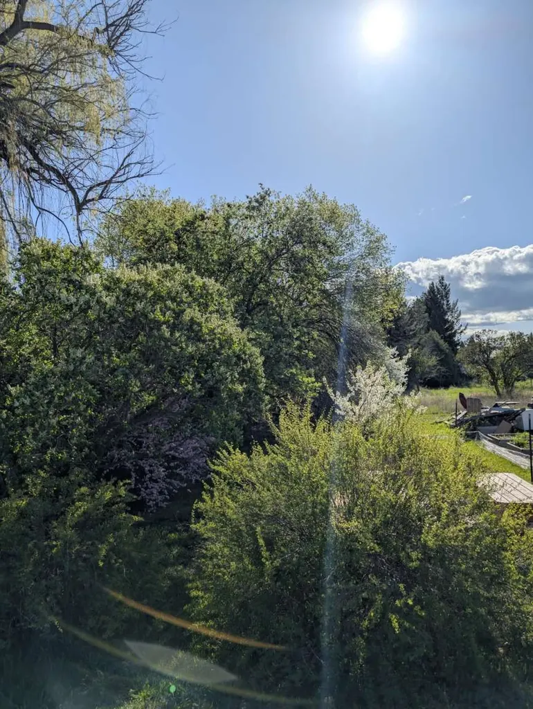 117 Northwest Lane Kalispell MT 59901