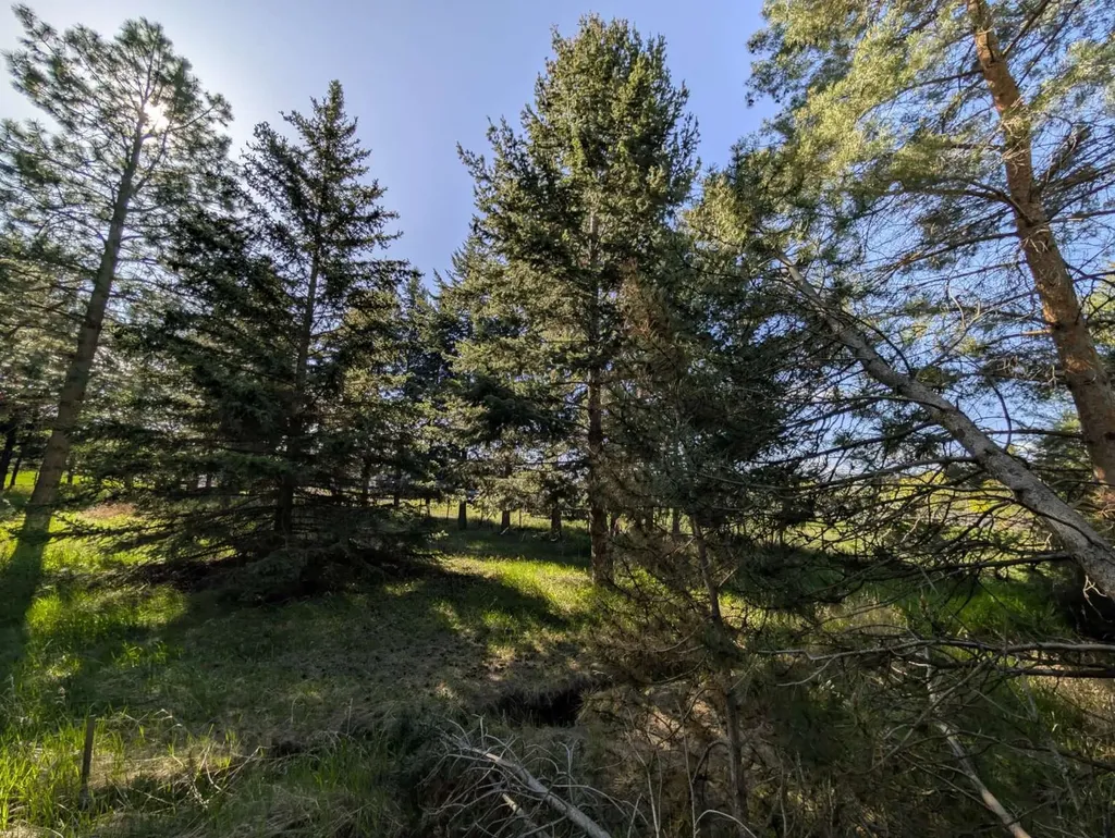 117 Northwest Lane Kalispell MT 59901