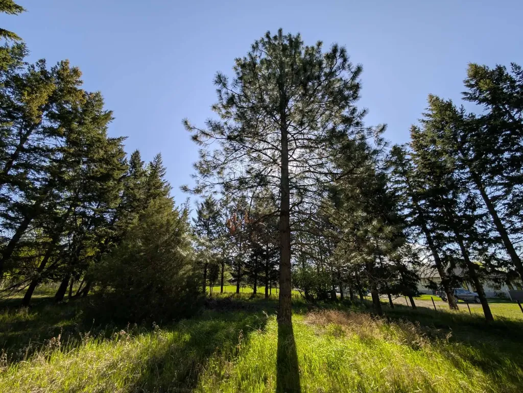 117 Northwest Lane Kalispell MT 59901