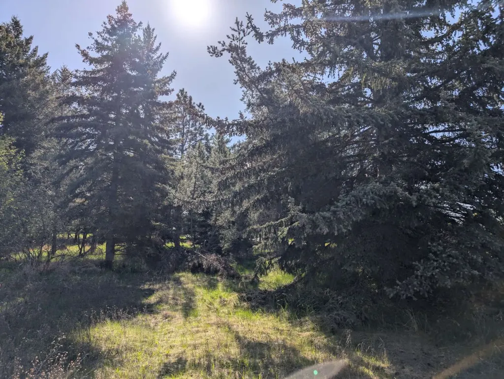 117 Northwest Lane Kalispell MT 59901