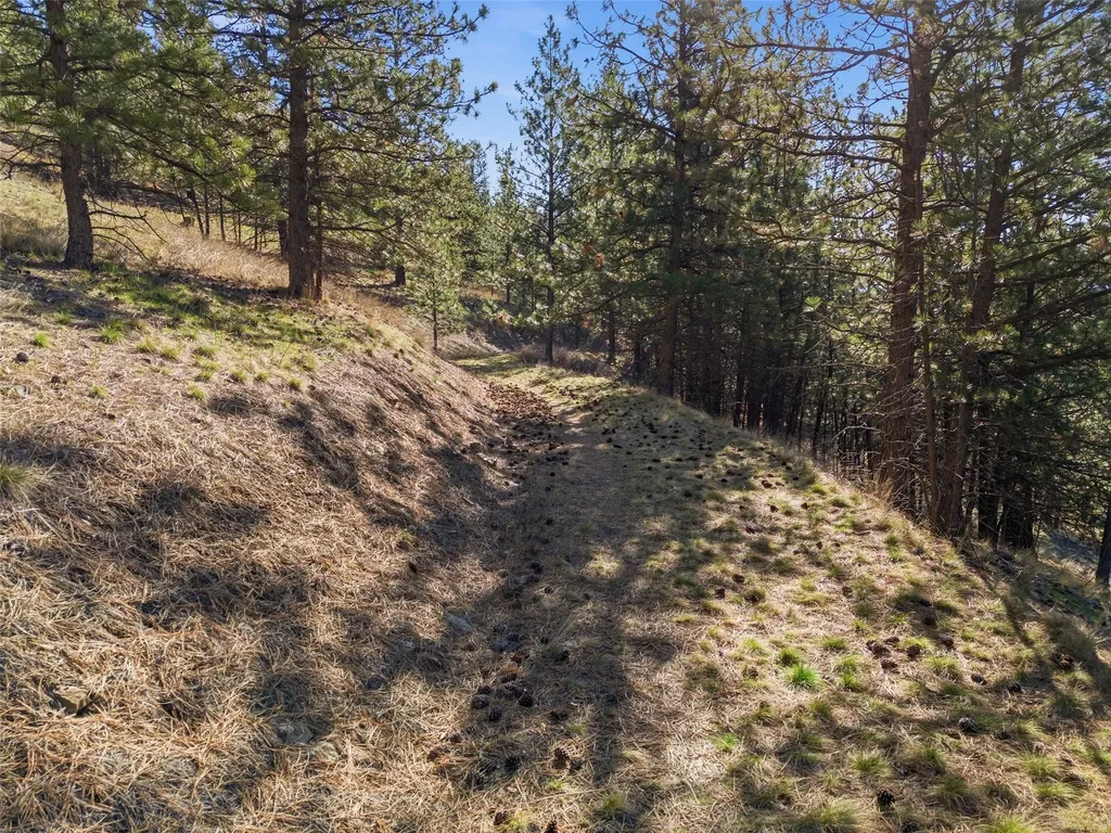 Nhn Mcdowell Lane Missoula MT 59802