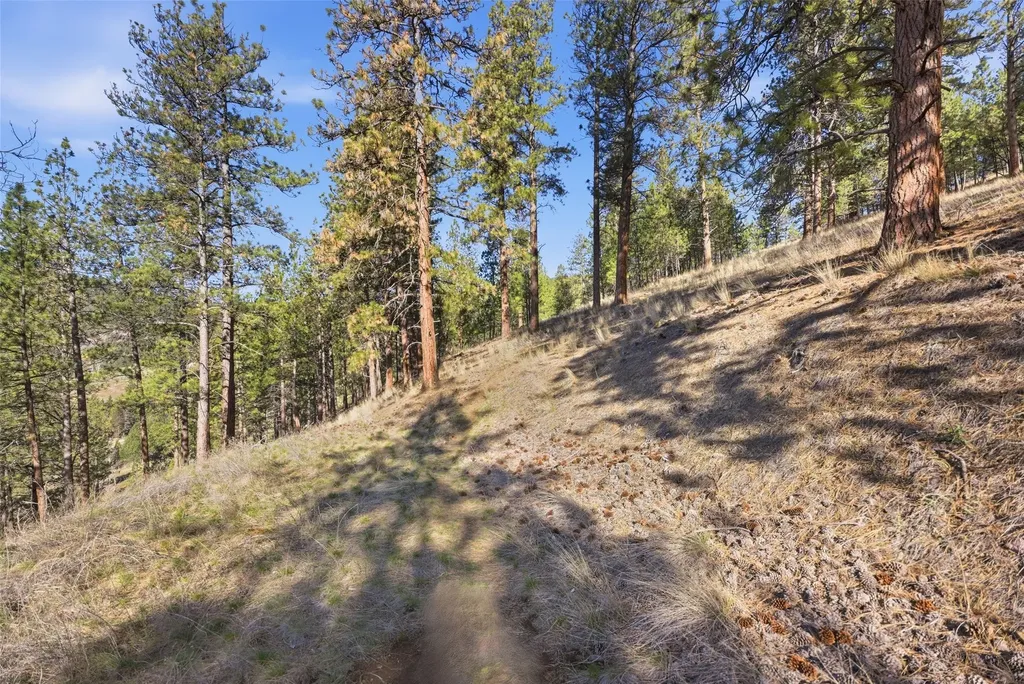 Nhn Mcdowell Lane Missoula MT 59802