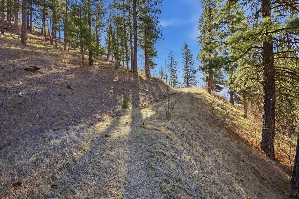 Nhn Mcdowell Lane Missoula MT 59802