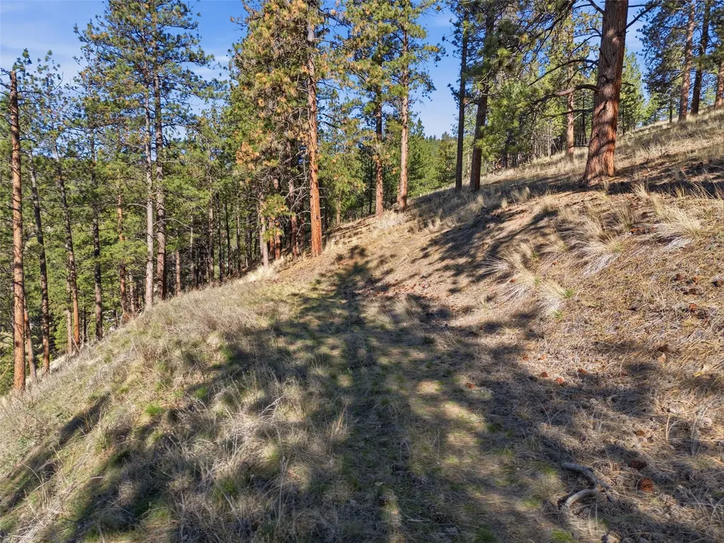 Nhn Mcdowell Lane Missoula MT 59802