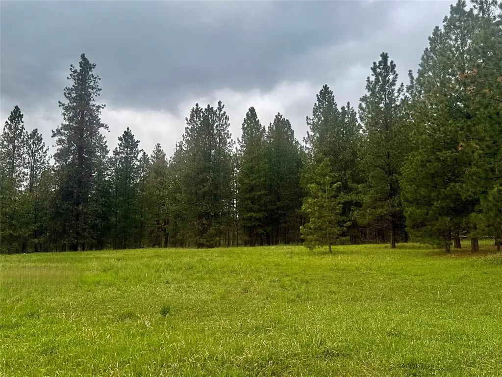 18925 Appaloosa Lane Frenchtown MT 59834
