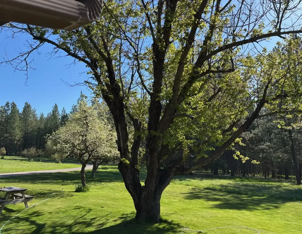 18925 Appaloosa Lane Frenchtown MT 59834