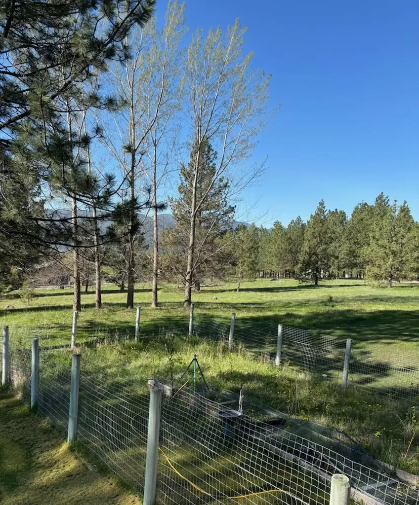 18925 Appaloosa Lane Frenchtown MT 59834