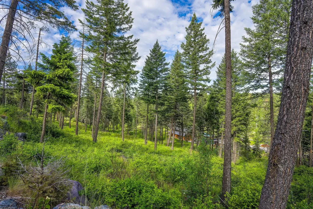 16 Bridle Court Bigfork MT 59911