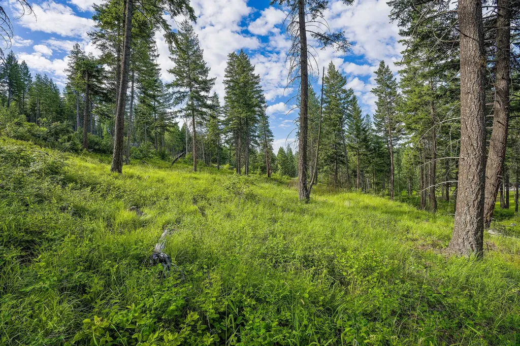 16 Bridle Court Bigfork MT 59911
