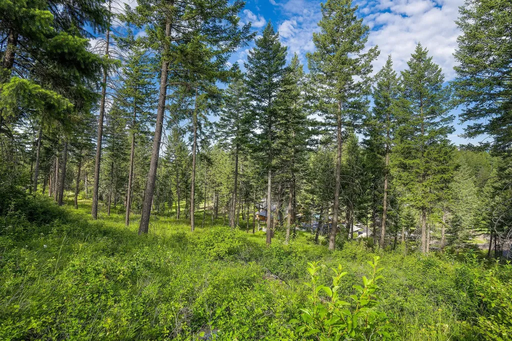16 Bridle Court Bigfork MT 59911