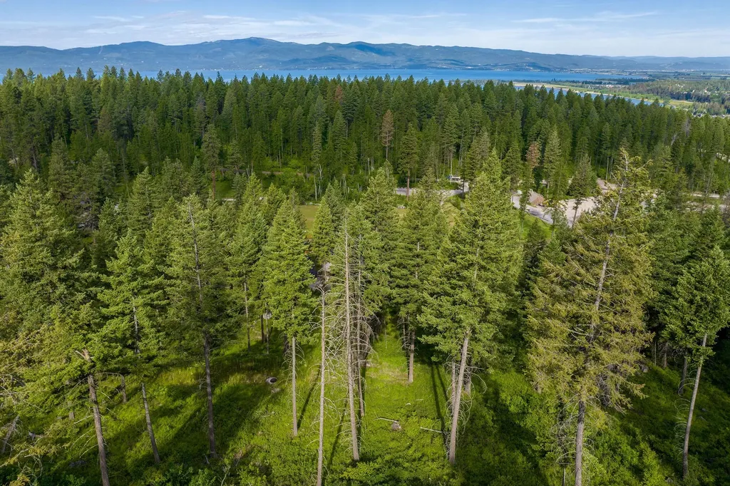 16 Bridle Court Bigfork MT 59911