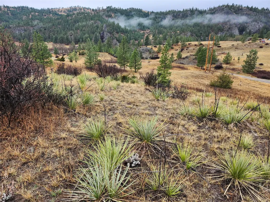 Tbd Dearborn River Road Cascade MT 59421