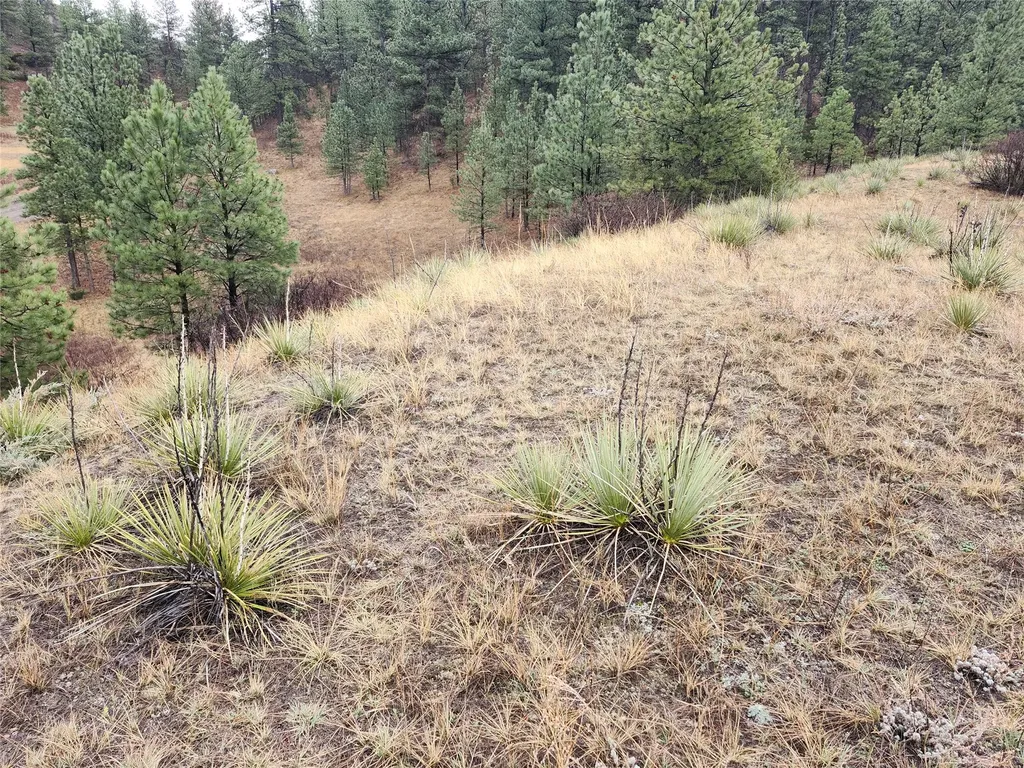 Tbd Dearborn River Road Cascade MT 59421