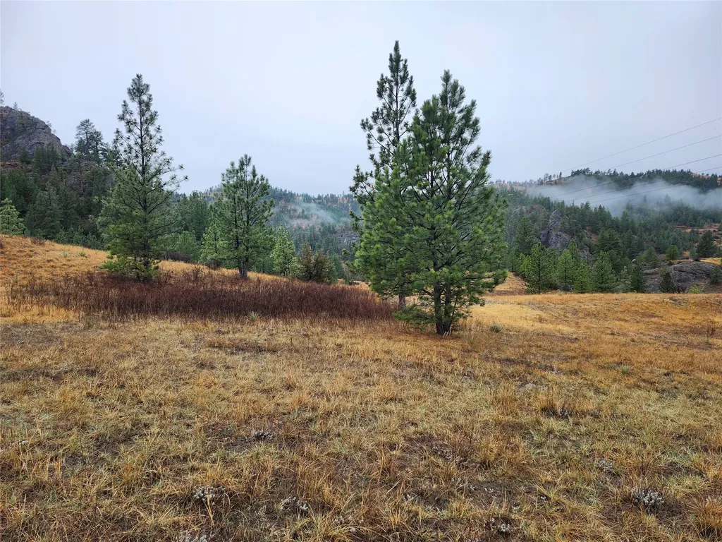 Tbd Dearborn River Road Cascade MT 59421