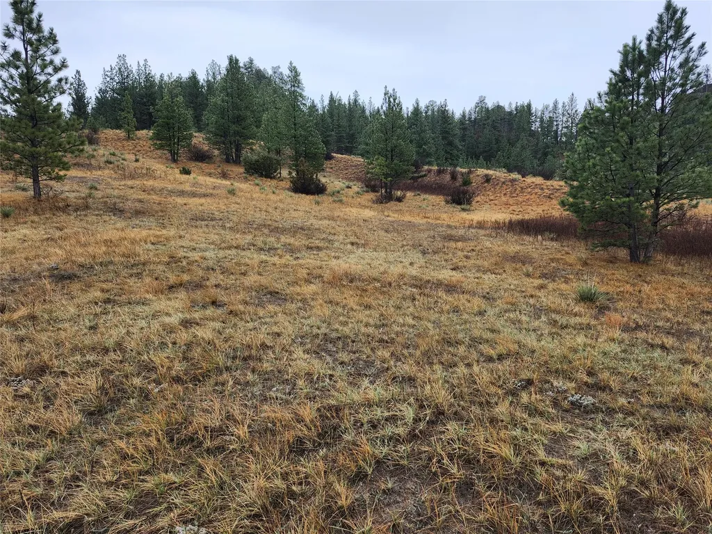 Tbd Dearborn River Road Cascade MT 59421