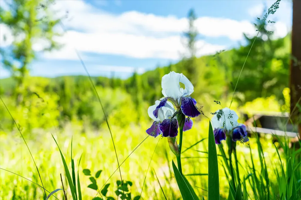 991 Sawmill Lane Kalispell MT 59901