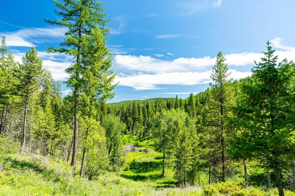 991 Sawmill Lane Kalispell MT 59901