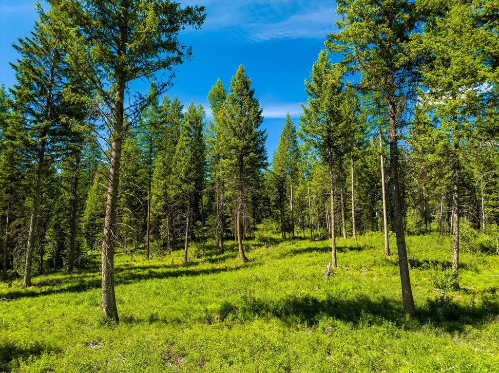 991 Sawmill Lane Kalispell MT 59901