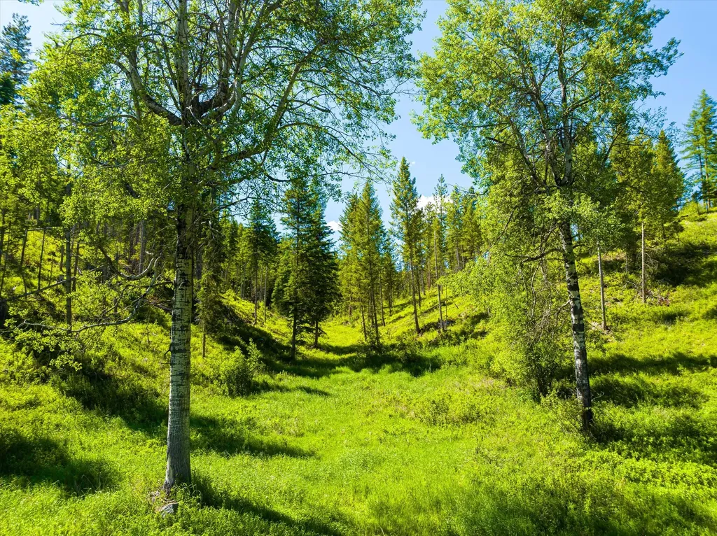 991 Sawmill Lane Kalispell MT 59901