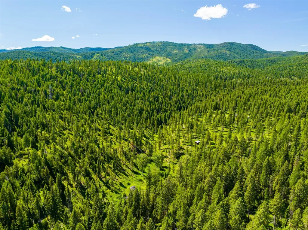 991 Sawmill Lane Kalispell MT 59901