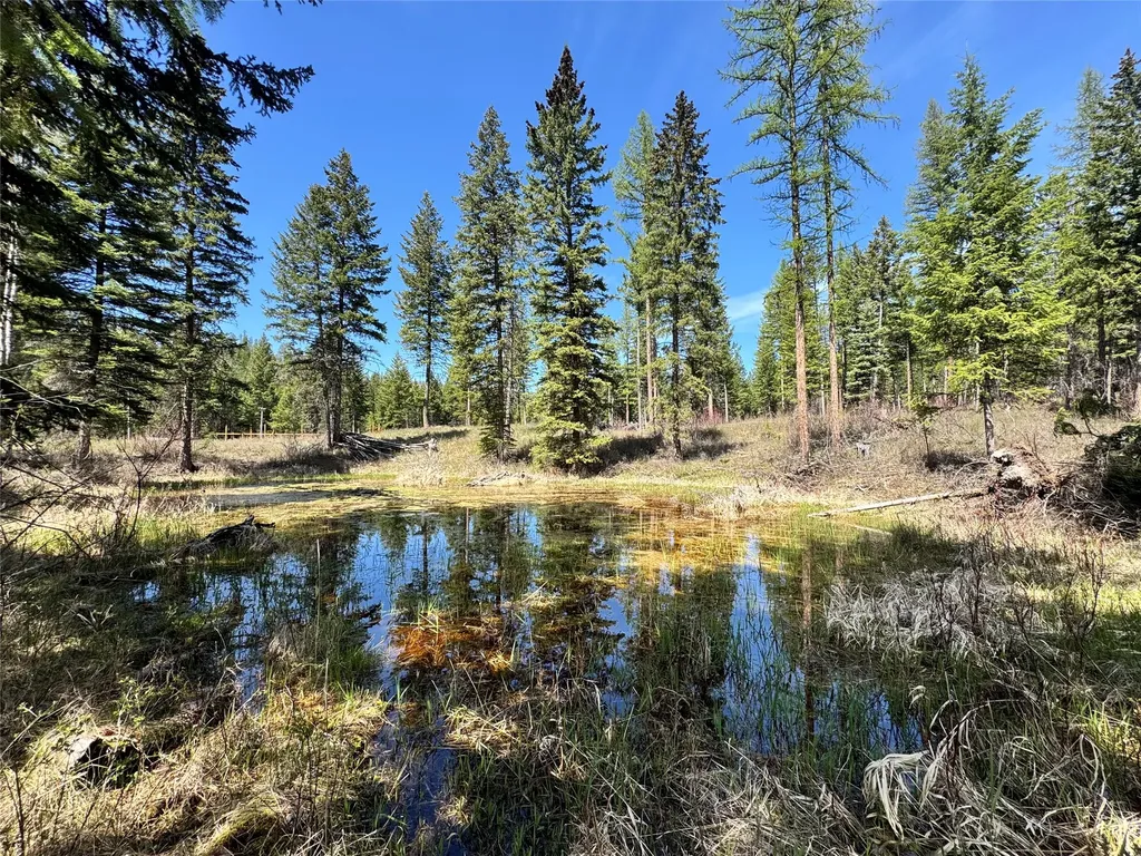 991 Sawmill Lane Kalispell MT 59901