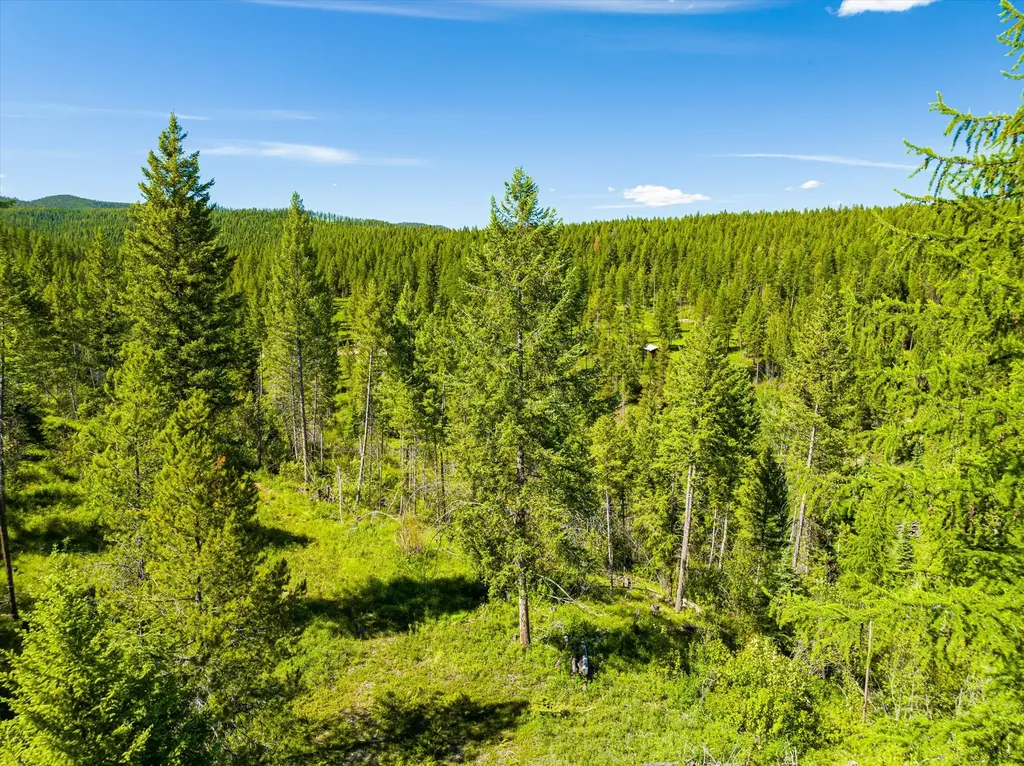 991 Sawmill Lane Kalispell MT 59901