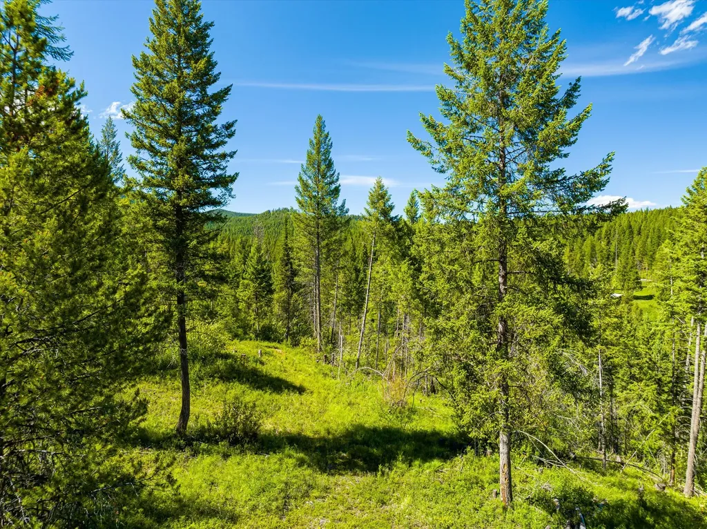 991 Sawmill Lane Kalispell MT 59901