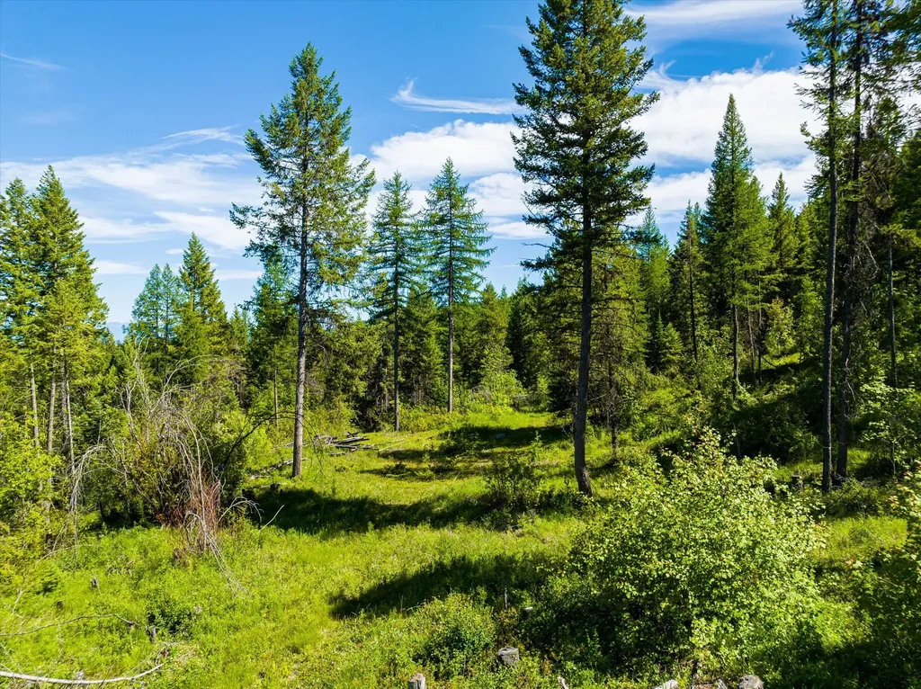 991 Sawmill Lane Kalispell MT 59901
