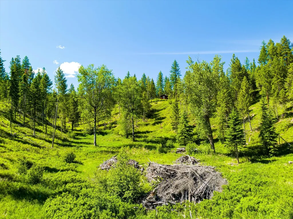 991 Sawmill Lane Kalispell MT 59901