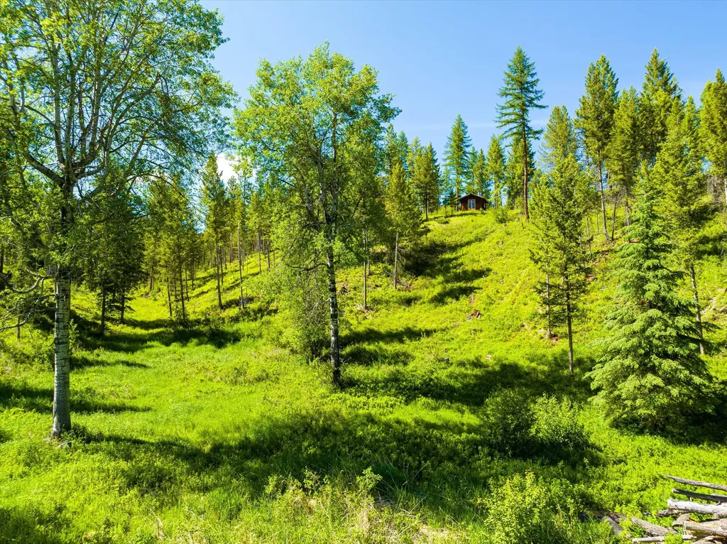991 Sawmill Lane Kalispell MT 59901