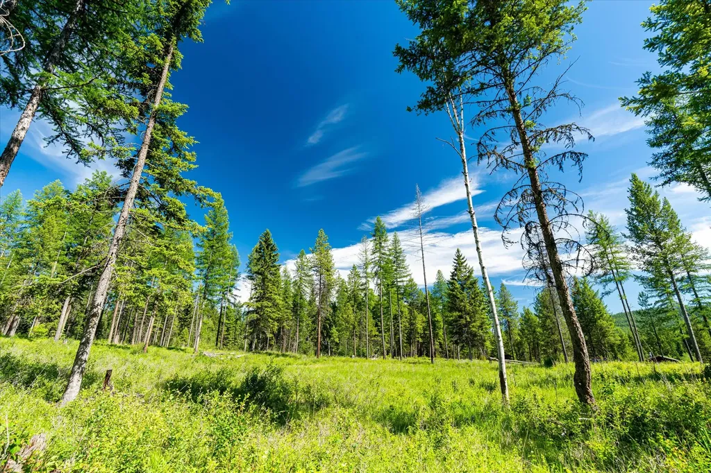 991 Sawmill Lane Kalispell MT 59901