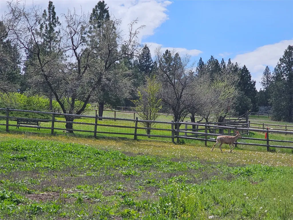 445 Sapphire Lane Stevensville MT 59870