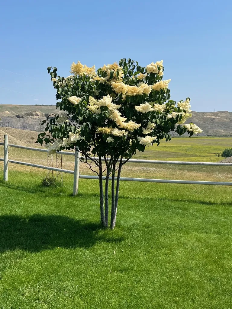 42 River Ridge Lane Shelby MT 59474