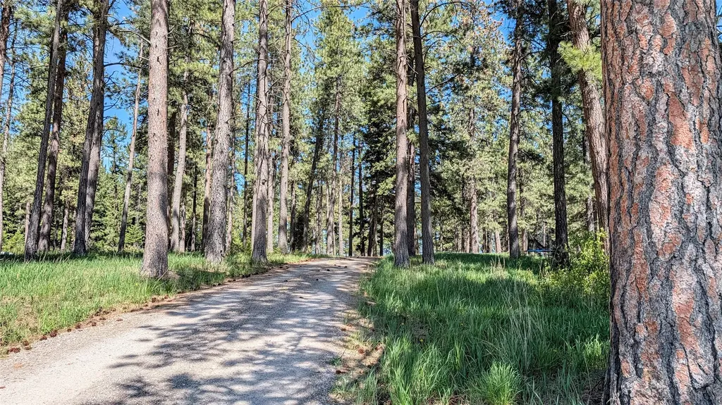 68 Mount Jackson Trail Columbia Falls MT 59912