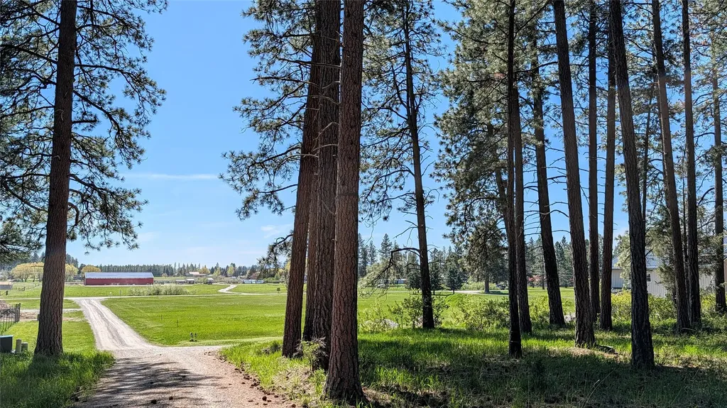68 Mount Jackson Trail Columbia Falls MT 59912