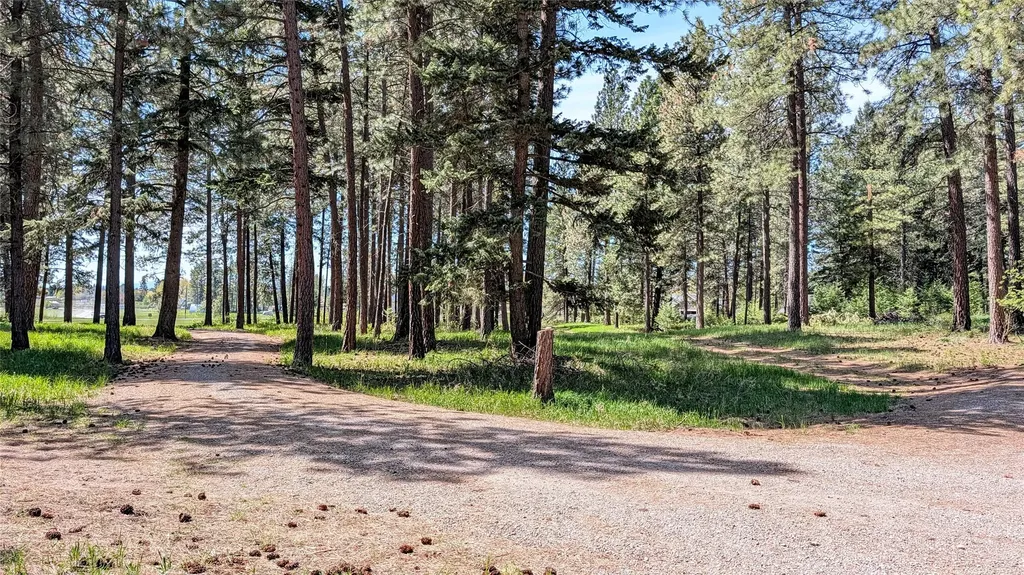 68 Mount Jackson Trail Columbia Falls MT 59912