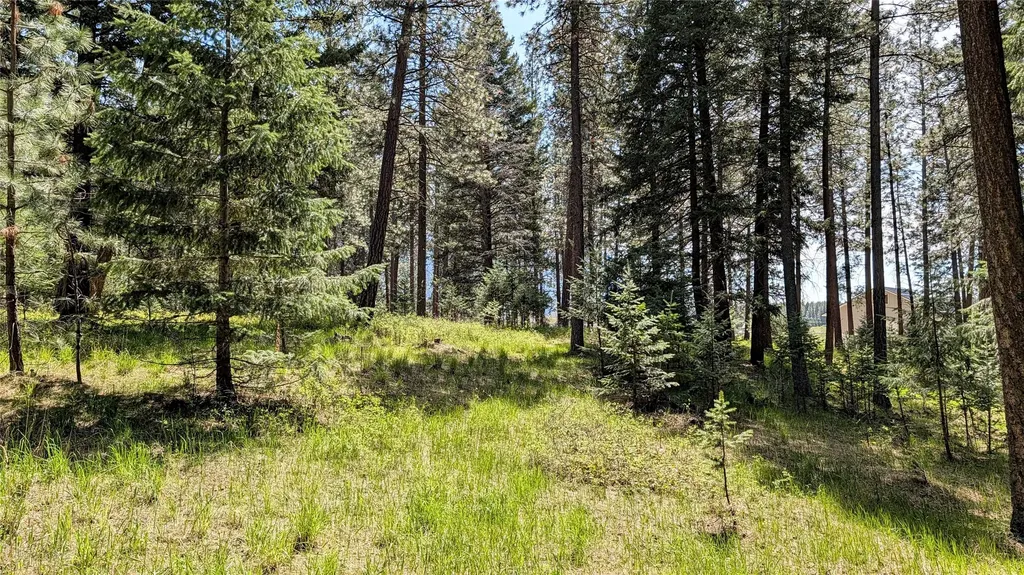 68 Mount Jackson Trail Columbia Falls MT 59912