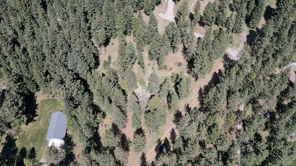 68 Mount Jackson Trail Columbia Falls MT 59912