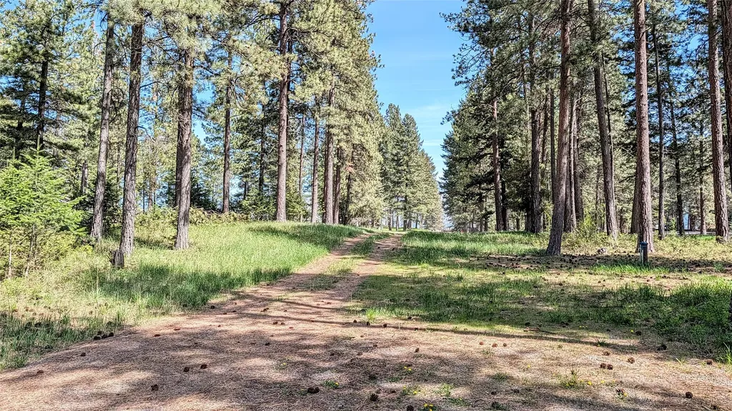 68 Mount Jackson Trail Columbia Falls MT 59912