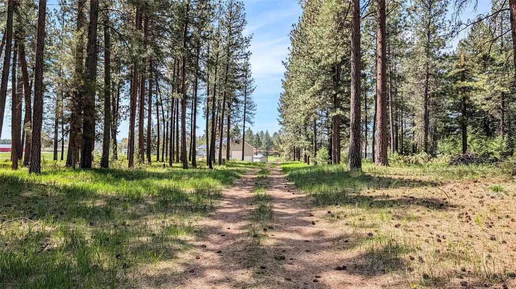 68 Mount Jackson Trail Columbia Falls MT 59912